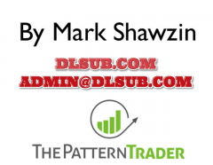 Mark Shawzin The Pattern Trader Master Sessions
