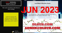 Champion Team Trading Leif Soreide Weekly Videos