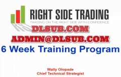 Professional cover image of Wally Olopade - 6 Weeks Coaching Program 2022 online trading course