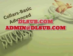 Random Walk Trading - Collar Basic to Advanced branded promotional cover for online education, implementing advanced collar strategies for income